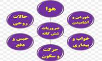 سبک زندگی سالم از دیدگاه طب ایرانی