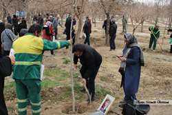 مراسم درختکاری به پاس نکوداشت خاطره اهدا کنندگان عضو 